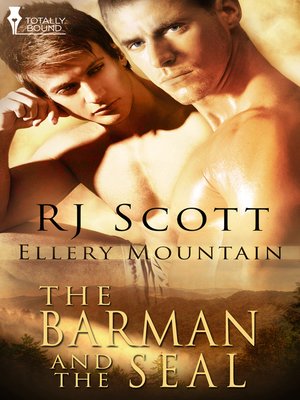 cover image of The Barman and the SEAL